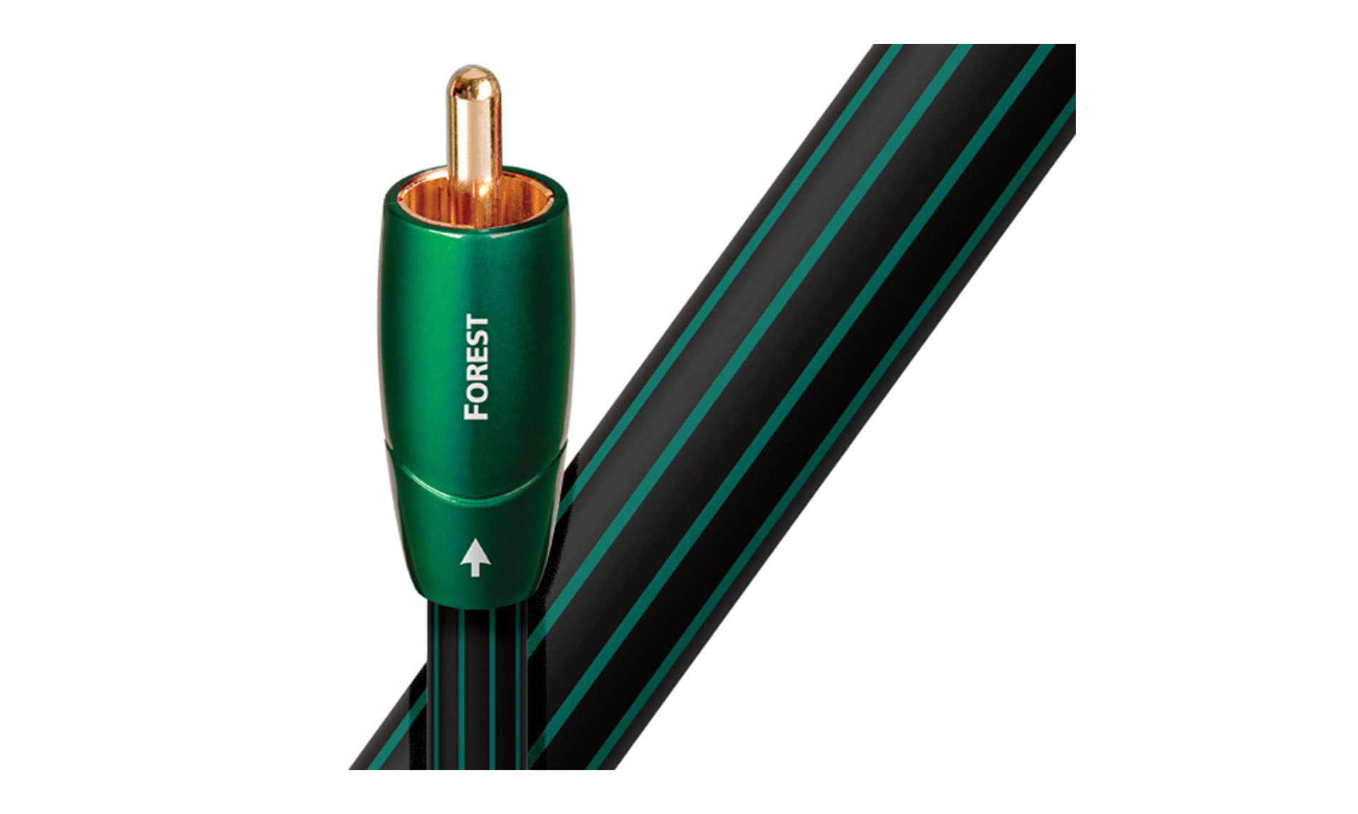 AudioQuest Forest Coaxial Digital Distribuidor Oficial Audio