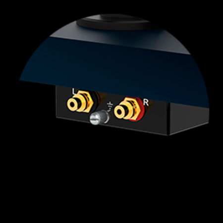Salidas RCA bañadas en oro y terminal de tierra de la Pro-Ject Debut Carbon EVO Salidas RCA bañadas en oro y terminal de tierra de la Pro-Ject Debut Carbon EVO
