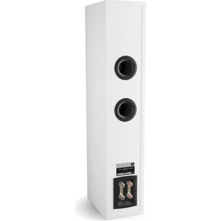 DALI Opticon 6 MK2 vista trasera con puerto Dual Flare y bornes para bi-cableado DALI Opticon 6 MK2 vista trasera con puerto Dual Flare y bornes para bi-cableado